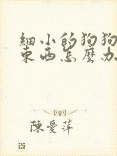 细小的狗狗不吃东西怎么办