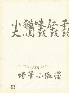 小猫咪肚子特别大,圆鼓鼓的是怎么回事