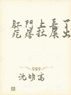 肛门上长了个肉疙瘩拉屎出血