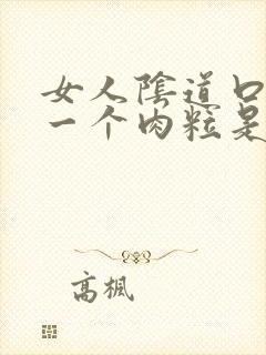 女人阴道口长了一个肉粒是怎么回事封面