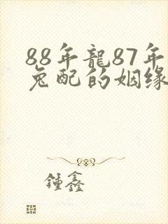 88年龙87年兔配的姻缘怎么样封面