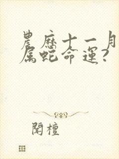 农历十一月初七属蛇命运?封面