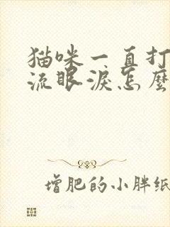 猫咪一直打喷嚏流眼泪怎么办封面