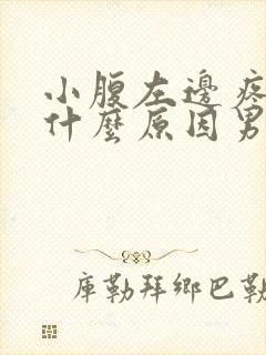 小腹左边疼痛是什么原因男性