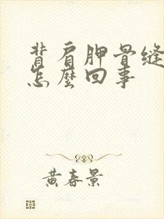 背肩胛骨缝疼是怎么回事封面