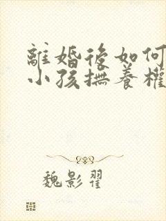 离婚后如何争取小孩抚养权封面