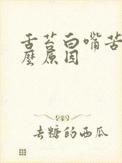 舌苔白嘴苦是什么原因