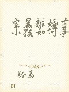 家暴离婚有两个小孩如何争取抚养权封面