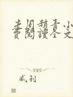 老周赵青小说免费阅读全文封面