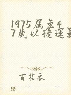1975属兔47岁以后运气咋样