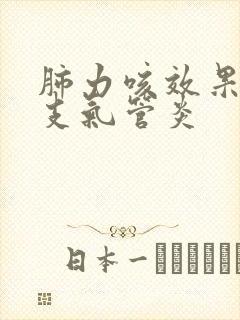 肺力咳效果治疗支气管炎