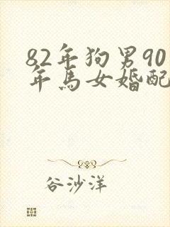 82年狗男90年马女婚配好不好封面