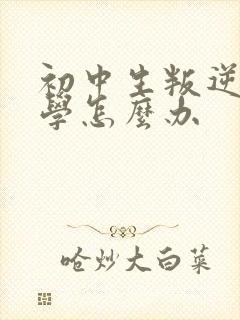 初中生叛逆期厌学怎么办封面