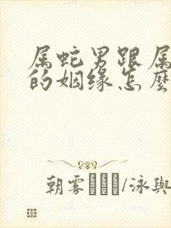 属蛇男跟属龙女的姻缘怎么样封面