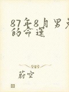 87年8月男兔的命运