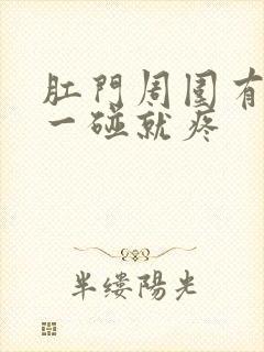 肛门周围有疙瘩一碰就疼