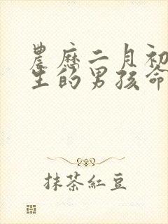 农历二月初一出生的男孩命运