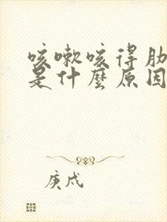 咳嗽咳得肋骨疼是什么原因