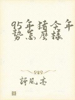 95年猪今年运势怎么样封面