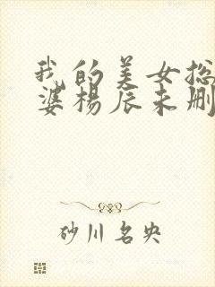 我的美女总裁老婆杨辰未删减版