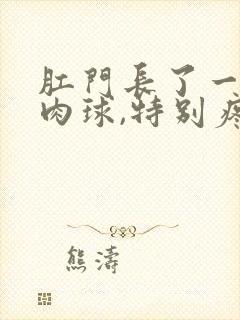 肛门长了一个硬肉球,特别疼