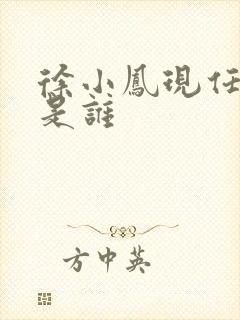 徐小凤现任丈夫是谁