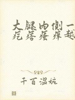 大腿内侧一片红疙瘩瘙痒越抓越痒