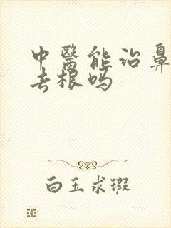 中医能治鼻窦炎去根吗