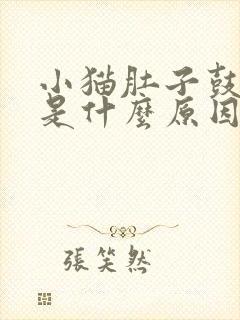 小猫肚子鼓鼓的是什么原因