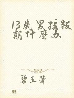 13岁男孩叛逆期什么办封面