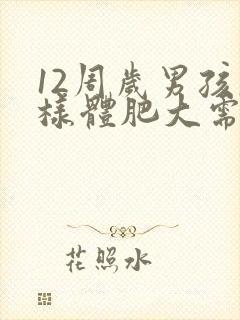 12周岁男孩腺样体肥大需要手术吗封面
