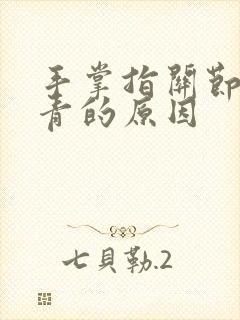 手掌指关节处发青的原因封面