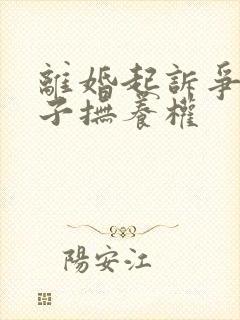 离婚起诉争取孩子抚养权