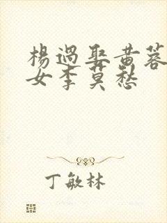 杨过娶黄蓉小龙女李莫愁