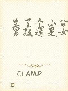 生了个小公主是男孩还是女孩封面