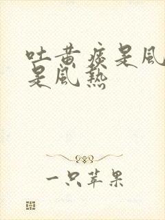 吐黄痰是风寒还是风热