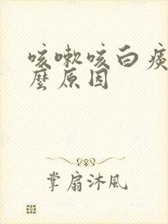 咳嗽咳白痰是什么原因封面