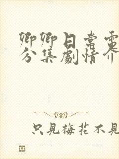 卿卿日常电视剧分集剧情介绍