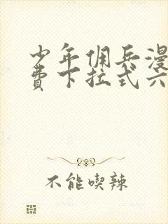 少年佣兵漫画免费下拉式六漫画