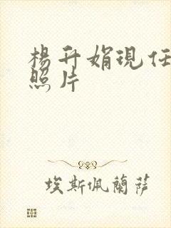 杨升娟现任丈夫照片