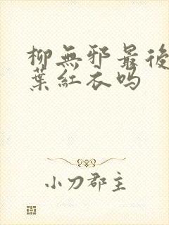 柳无邪最后娶了叶红衣吗