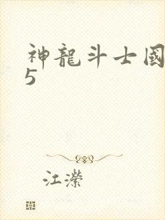 神龙斗士国语45