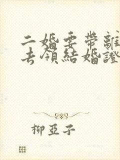 二婚要带离婚证去领结婚证吗