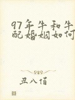97年牛和牛相配婚姻如何