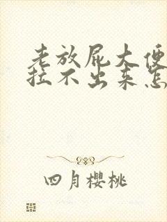 老放屁大便干燥拉不出来怎么办