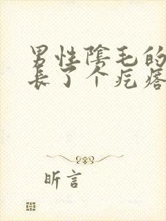 男性阴毛的地方长了个疙瘩