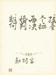 离婚两个孩子如何判决抚养权