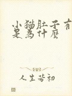 小猫肚子有点大是为什么