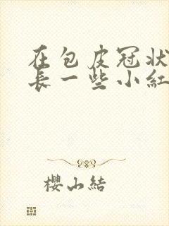 在包皮冠状沟处长一些小红疙瘩