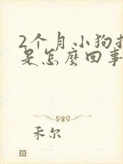 2个月小狗拉稀是怎么回事